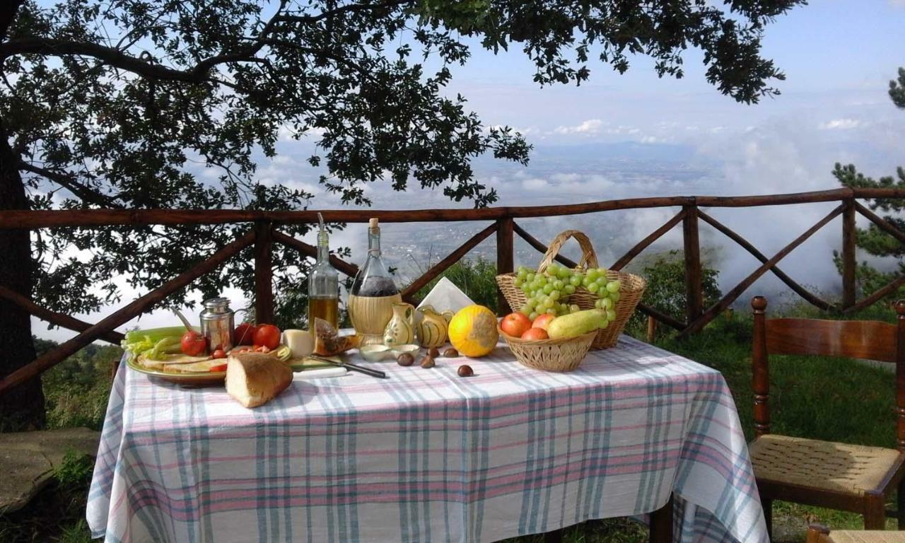 La Casa Gialla Belvedere Кортона Экстерьер фото